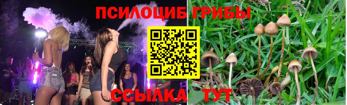 Псилоцибиновые грибы MAGIC MUSHROOMS Мелеуз